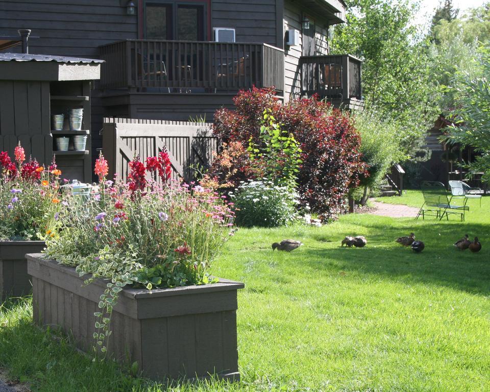 Inn On The Creek Jackson Kültér fotó
